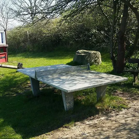 1 Im Fischerhaus Mit Wintergarten Und Terrasse * Seedorf (Rugen)